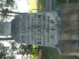 image of grave number 950531